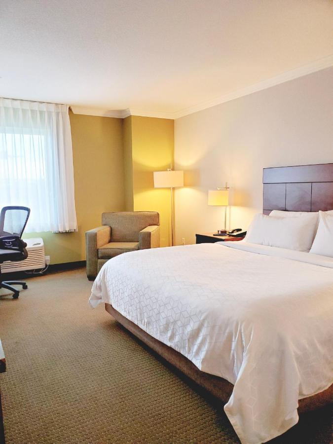 Chambre Lit King-Size Exécutive avec Baignoire Accessible aux Personnes à Mobilité Réduite - Non-Fumeurs
